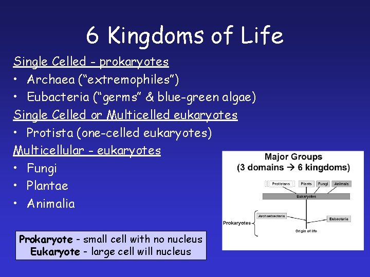 6 Kingdoms of Life Single Celled - prokaryotes • Archaea (“extremophiles”) • Eubacteria (“germs”