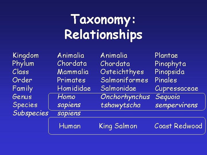 Taxonomy: Relationships Kingdom Phylum Class Order Family Genus Species Subspecies Animalia Chordata Mammalia Primates