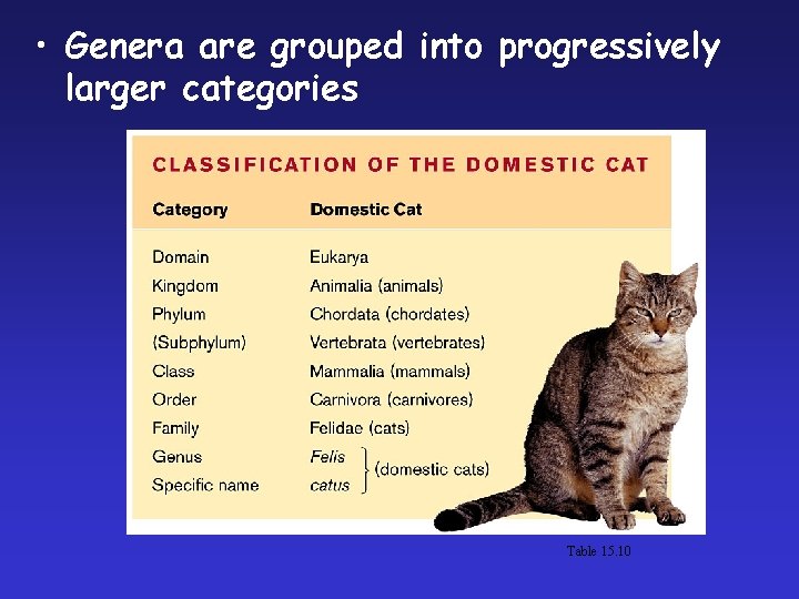  • Genera are grouped into progressively larger categories Table 15. 10 