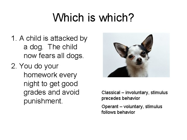 Which is which? 1. A child is attacked by a dog. The child now