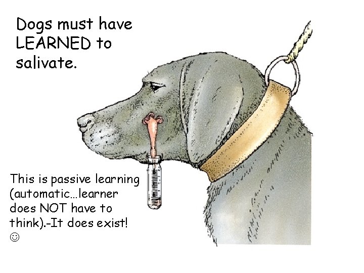 Dogs must have LEARNED to salivate. This is passive learning (automatic…learner does NOT have