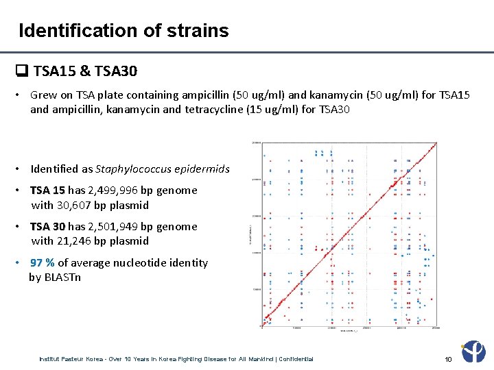 Identification of strains TSA 15 & TSA 30 • Grew on TSA plate containing