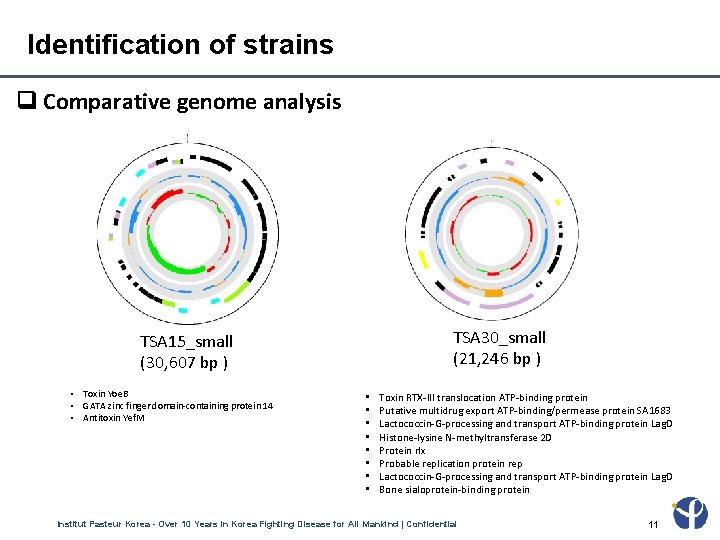 Identification of strains Comparative genome analysis TSA 30_small (21, 246 bp ) TSA 15_small