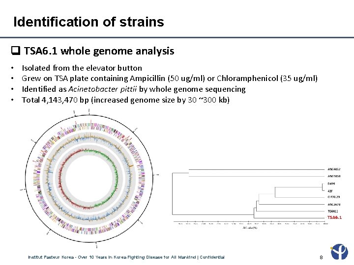 Identification of strains TSA 6. 1 whole genome analysis • • Isolated from the