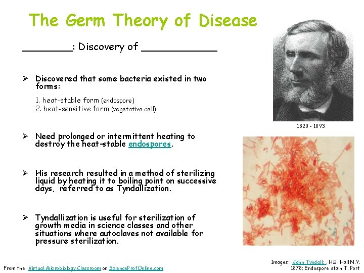 The Germ Theory of Disease ____: Discovery of ______ Ø Discovered that some bacteria