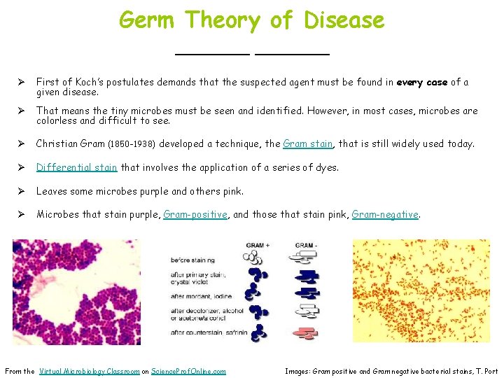 Germ Theory of Disease ______ Ø First of Koch’s postulates demands that the suspected