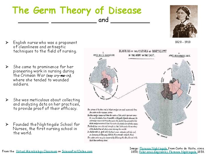 The Germ Theory of Disease ___________ and _____ Ø English nurse who was a