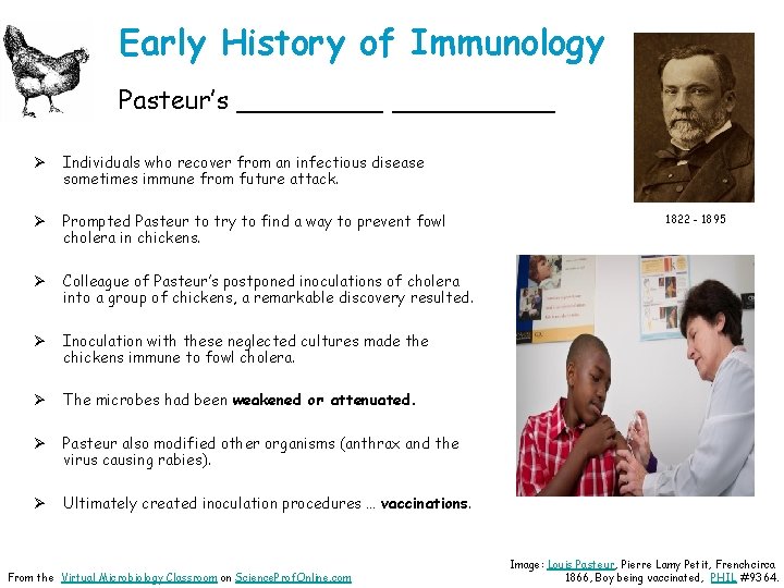 Early History of Immunology Pasteur’s __________ Ø Individuals who recover from an infectious disease