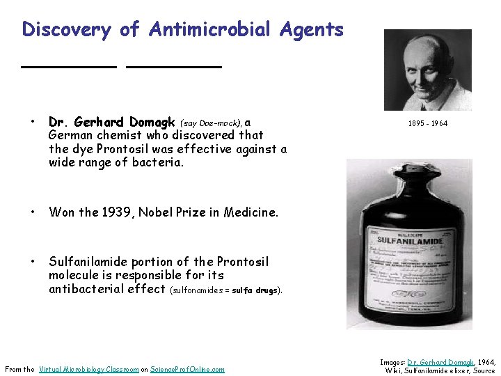 Discovery of Antimicrobial Agents ______ • Dr. Gerhard Domagk (say Doe-mock), a German chemist