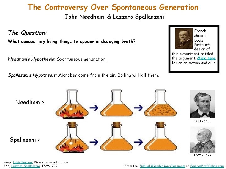 The Controversy Over Spontaneous Generation John Needham & Lazzaro Spallanzani The Question: What causes