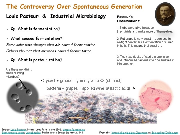 The Controversy Over Spontaneous Generation Louis Pasteur & Industrial Microbiology - Q: What is