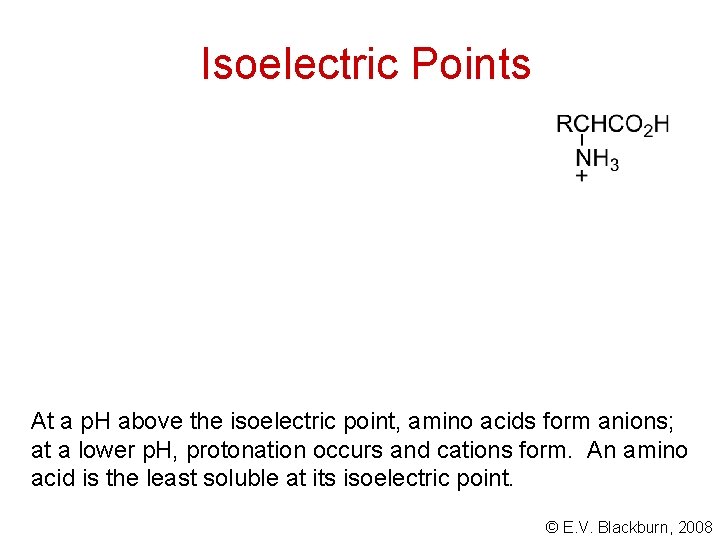 Isoelectric Points At a p. H above the isoelectric point, amino acids form anions;