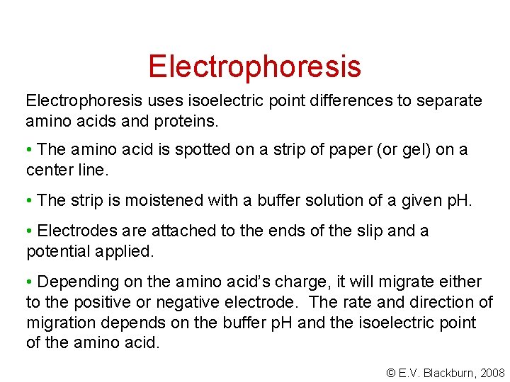 Electrophoresis uses isoelectric point differences to separate amino acids and proteins. • The amino