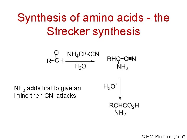 Synthesis of amino acids - the Strecker synthesis NH 3 adds first to give