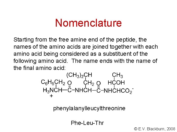 Nomenclature Starting from the free amine end of the peptide, the names of the