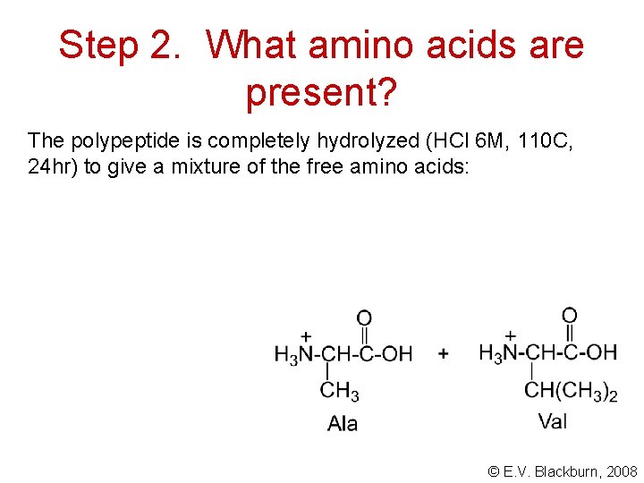 Step 2. What amino acids are present? The polypeptide is completely hydrolyzed (HCl 6