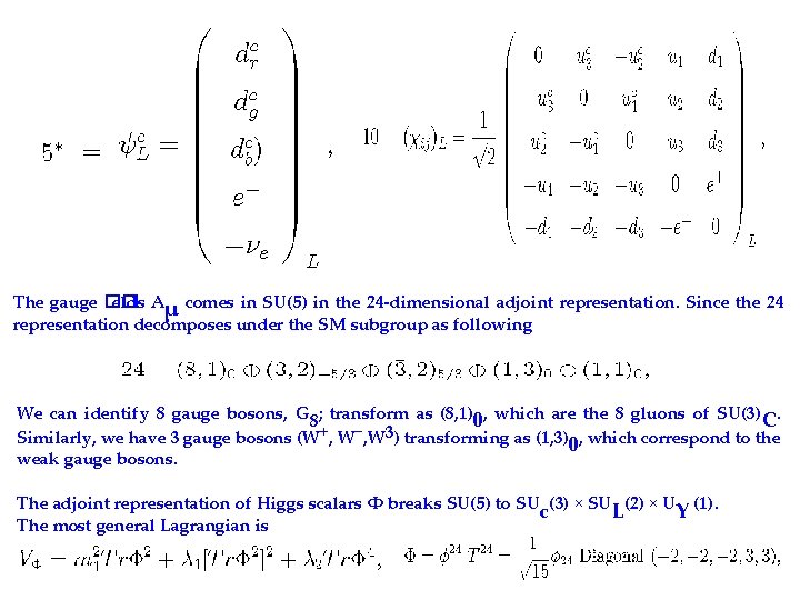 The gauge �� elds Aμ comes in SU(5) in the 24 -dimensional adjoint representation.