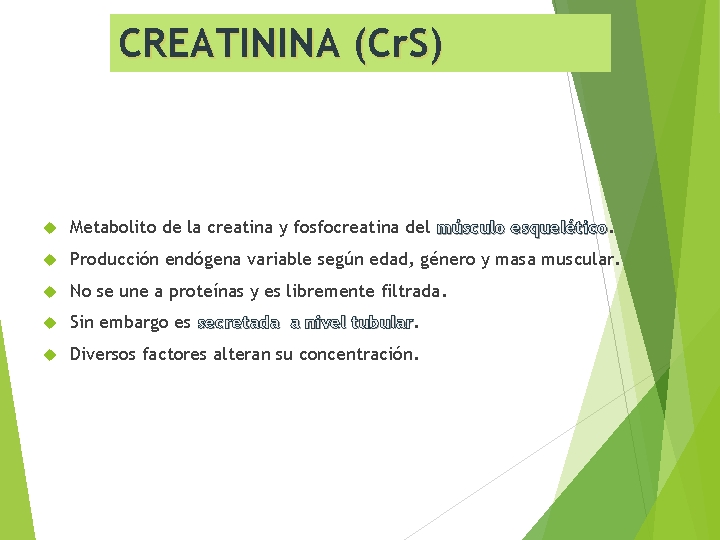 CREATININA (Cr. S) Metabolito de la creatina y fosfocreatina del músculo esquelético Producción endógena