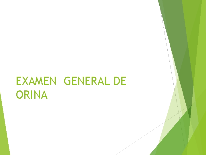EXAMEN GENERAL DE ORINA 