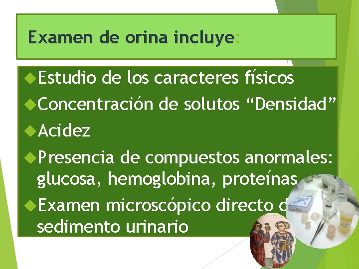 Examen de orina incluye: Estudio de los caracteres físicos Concentración de solutos “Densidad” Acidez