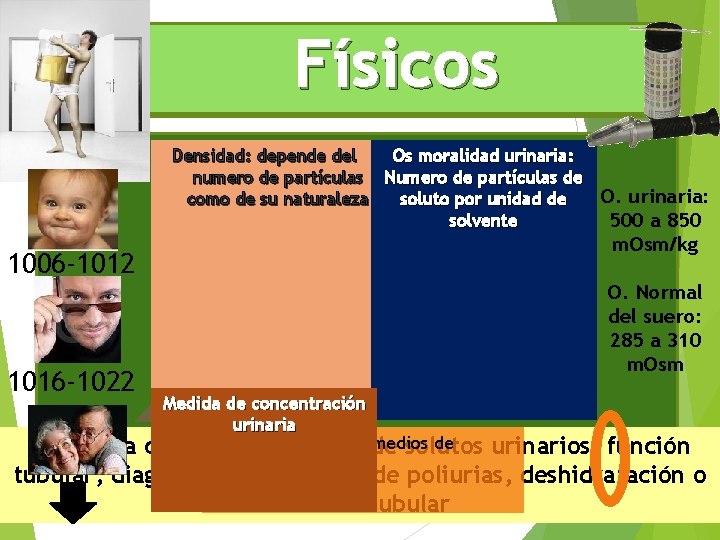 Físicos Os moralidad urinaria: Densidad: depende del numero de partículas Numero de partículas de