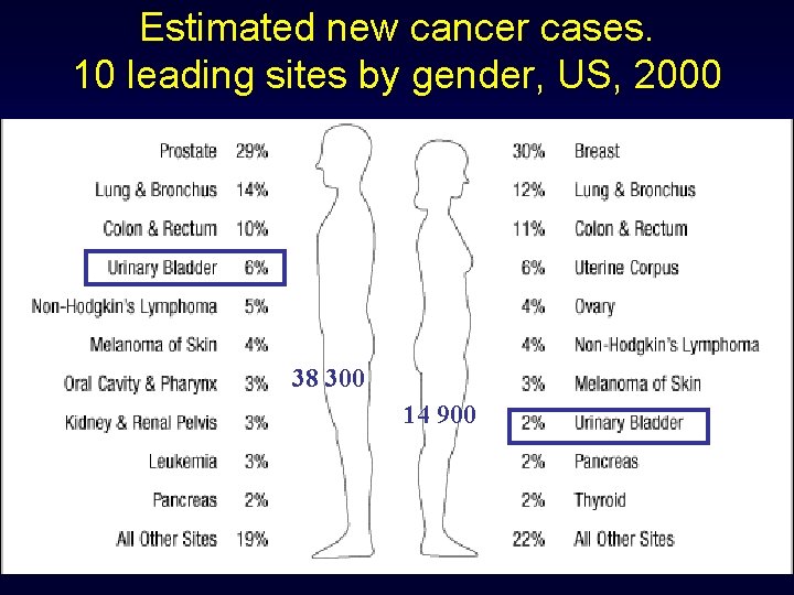Estimated new cancer cases. 10 leading sites by gender, US, 2000 38 300 14