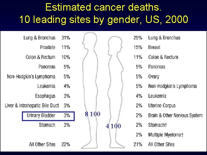 Estimated cancer deaths. 10 leading sites by gender, US, 2000 8 100 4 100
