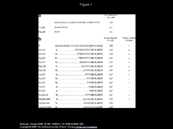 Figure 1 Molecular Therapy 2008 161427 -1436 DOI: (10. 1038/mt. 2008. 128) Copyright ©