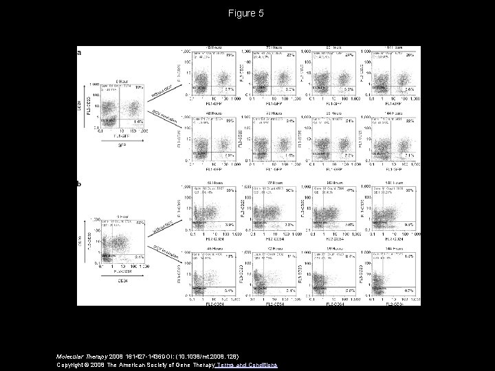 Figure 5 Molecular Therapy 2008 161427 -1436 DOI: (10. 1038/mt. 2008. 128) Copyright ©