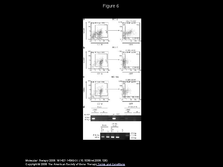 Figure 6 Molecular Therapy 2008 161427 -1436 DOI: (10. 1038/mt. 2008. 128) Copyright ©