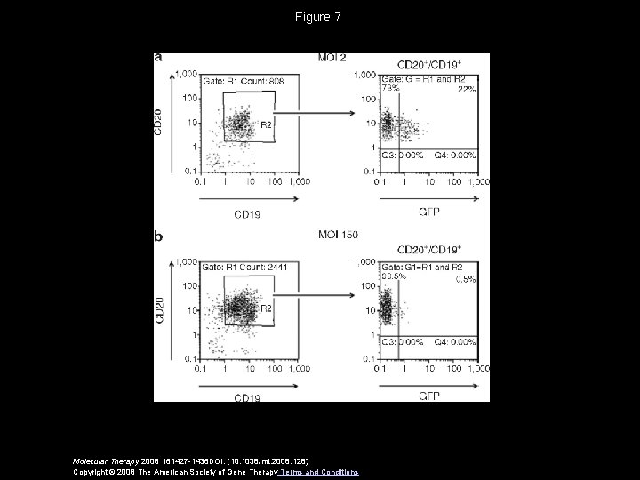 Figure 7 Molecular Therapy 2008 161427 -1436 DOI: (10. 1038/mt. 2008. 128) Copyright ©