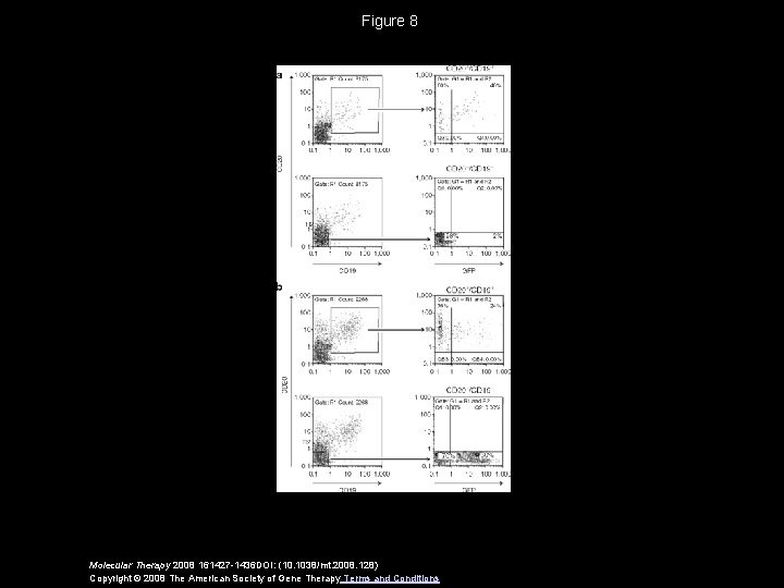 Figure 8 Molecular Therapy 2008 161427 -1436 DOI: (10. 1038/mt. 2008. 128) Copyright ©