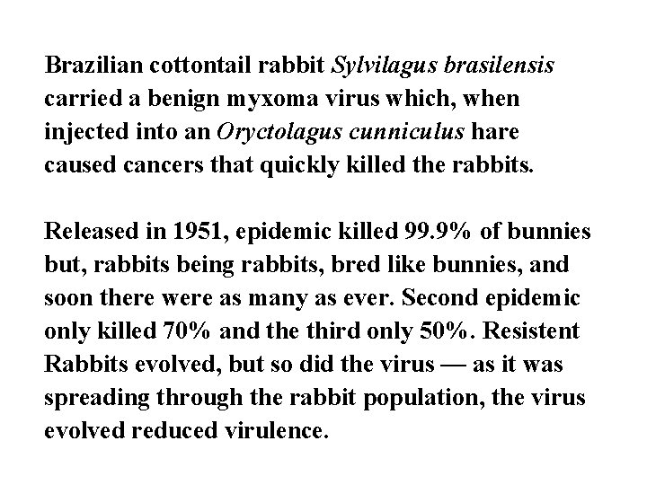 Brazilian cottontail rabbit Sylvilagus brasilensis carried a benign myxoma virus which, when injected into