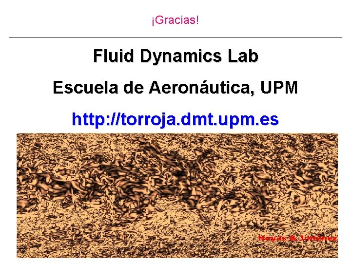 ¡Gracias! Fluid Dynamics Lab Escuela de Aeronáutica, UPM http: //torroja. dmt. upm. es 