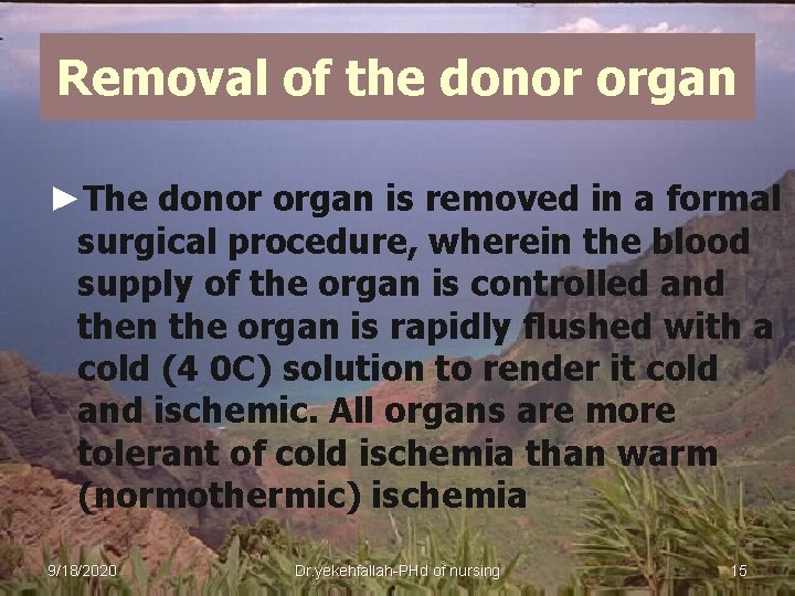 Removal of the donor organ ►The donor organ is removed in a formal surgical