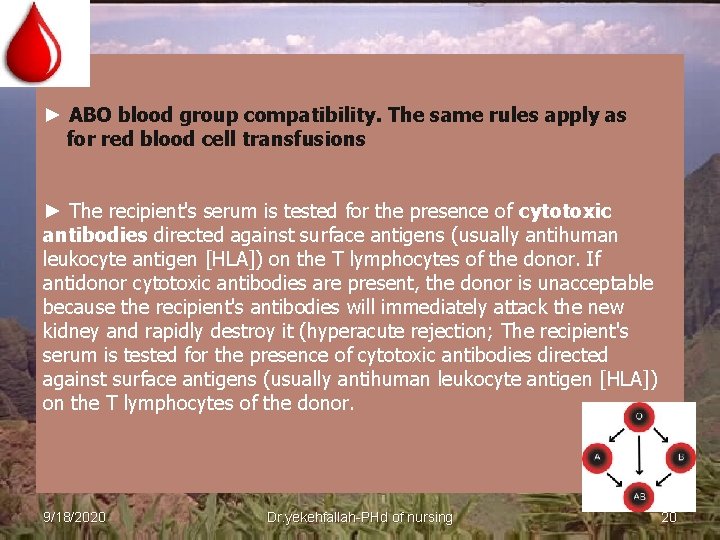 ► ABO blood group compatibility. The same rules apply as for red blood cell