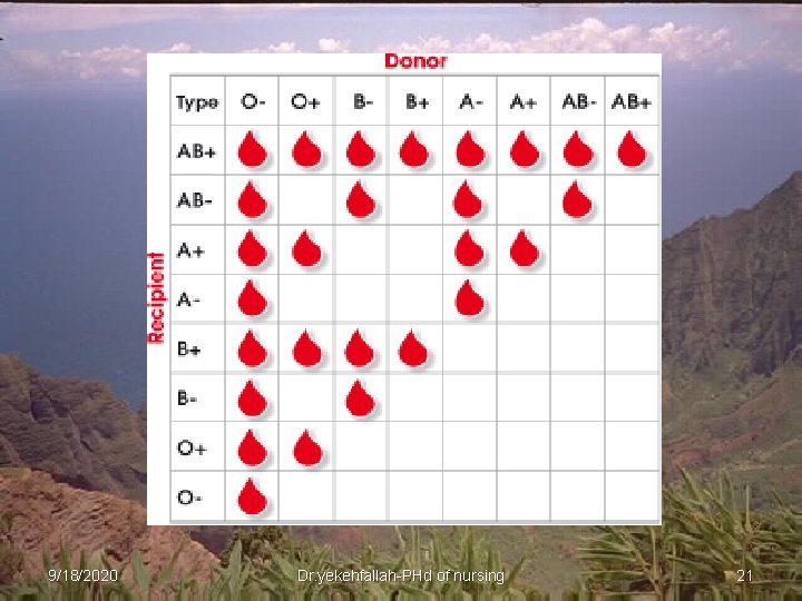 9/18/2020 Dr. yekehfallah-PHd of nursing 21 
