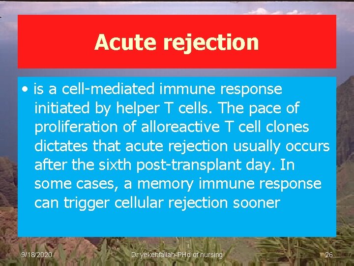 Acute rejection • is a cell-mediated immune response initiated by helper T cells. The