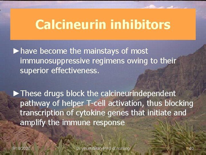 Calcineurin inhibitors ►have become the mainstays of most immunosuppressive regimens owing to their superior