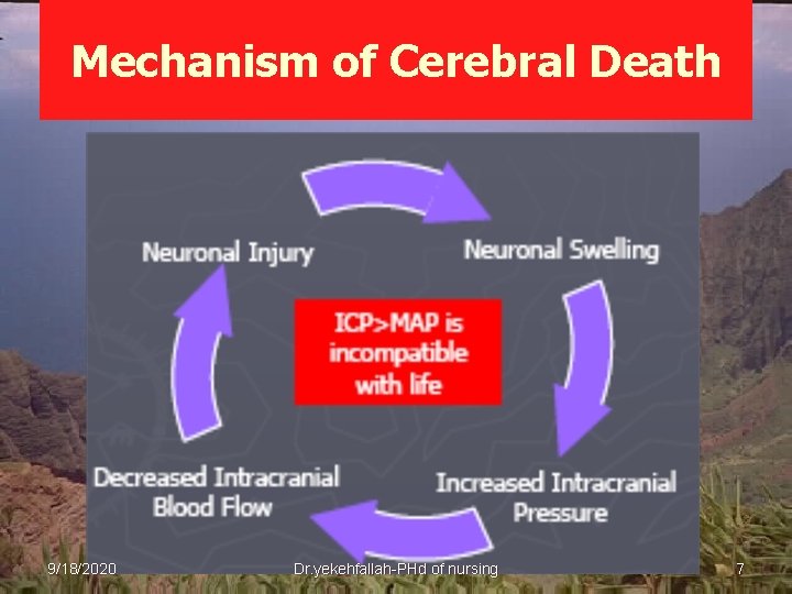 Mechanism of Cerebral Death 9/18/2020 Dr. yekehfallah-PHd of nursing 7 