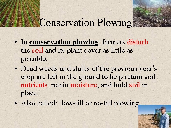 Conservation Plowing • In conservation plowing, farmers disturb the soil and its plant cover