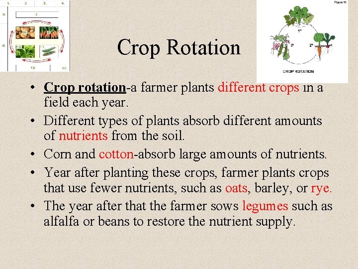 Crop Rotation • Crop rotation-a farmer plants different crops in a field each year.