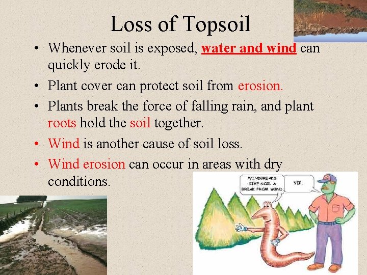 Loss of Topsoil • Whenever soil is exposed, water and wind can quickly erode