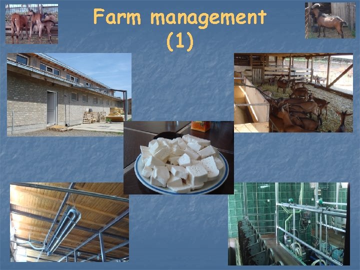 Farm management (1) 