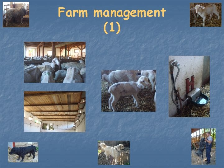 Farm management (1) 