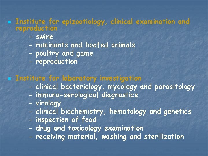 n n Institute for epizootiology, clinical examination and reproduction - swine - ruminants and