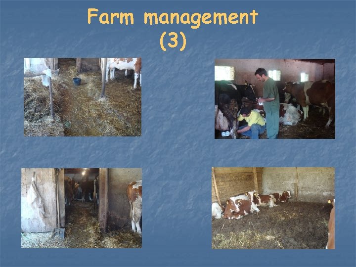 Farm management (3) 