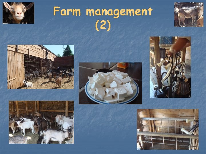 Farm management (2) 