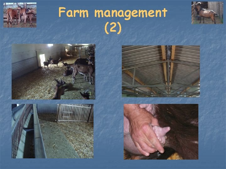 Farm management (2) 