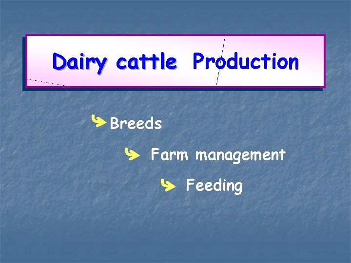 Dairy cattle Production Breeds Farm management Feeding 